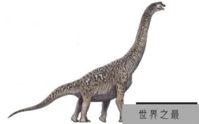 ​巴洛莎龙(Barrosasaurus)：体长30米的阿根廷超巨型食草恐龙