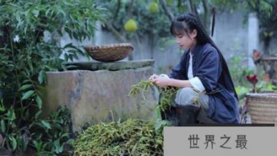 ​李子柒每年获得1.6亿美元的净利润超过2123家上市公司