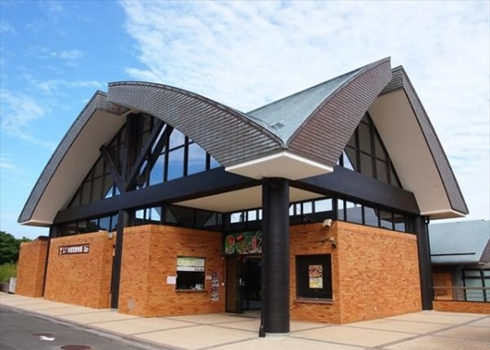 日本静冈县河津町滨的“iZoo”动物园展出稀有双角乌龟