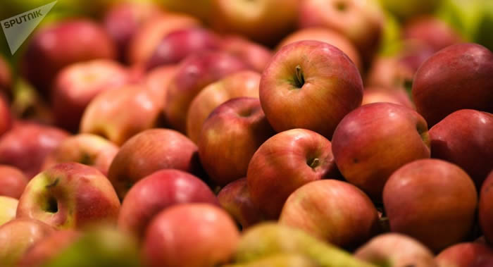 俄罗斯内分泌科医生扎琳娜·古索娃：过量食用苹果对肥胖人群和糖尿病患者不安全