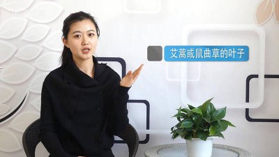 ​端午节吃青团的寓意「清明节吃青团子有什么寓意」