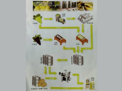 ​葡萄酒怎么酿造而成的？葡萄酒用什么酿造
