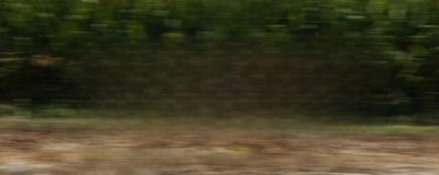 ​起亚狮跑2.0真实油耗是多少