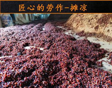 ​天下粮仓52度酒臻品价格(天下粮仓42度酒价格表)