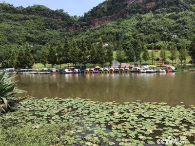 ​泸州老窖清溪谷怎样？泸州老窖清溪谷是泸州老窖么