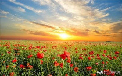 ​dnf神圣葡萄酒有什么用？神圣的葡萄酒