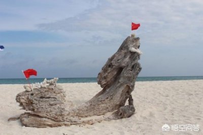 ​开散白酒店(开散白酒店都进多少福酒)