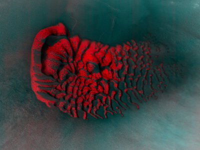 ​它让火星看起来像在接待一位科幻的外星动物客人