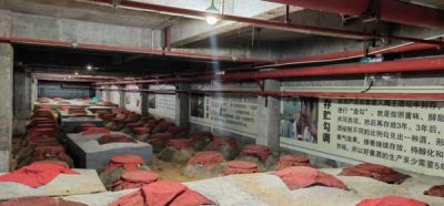 ​什么类型的酒适合长期储存(什么酒气味小)