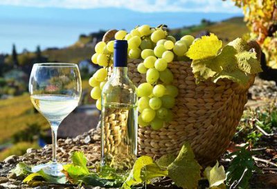 ​永乐店二锅头价格(永乐店酒厂的二锅头)