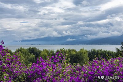 ​中国最适合居住的城市排名（最适合养老的地方有哪些）