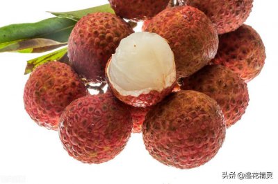 ​荔枝几月份上市成熟（荔枝一般每年的什么时候采摘上市）