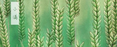 ​24节气中的小满是什么意思