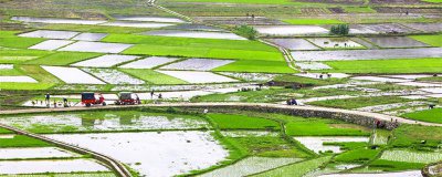 ​春分的含义是什么意思