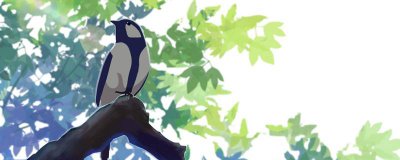 ​夏至到了表达的意思