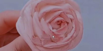 ​卫生纸玫瑰花的折法步骤图