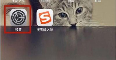 ​iPhone苹果手机手机录屏功能在哪