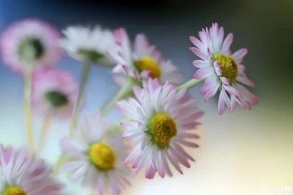 价值观不同的夫妻如何相处 夫妻三观不合如何挽回 价值观不同的夫妻如何相处 夫妻三观不合如何挽回