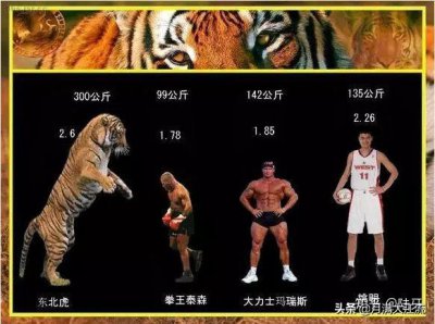 ​武松身高8尺是多高（武松实际身高相当于现在的多少）