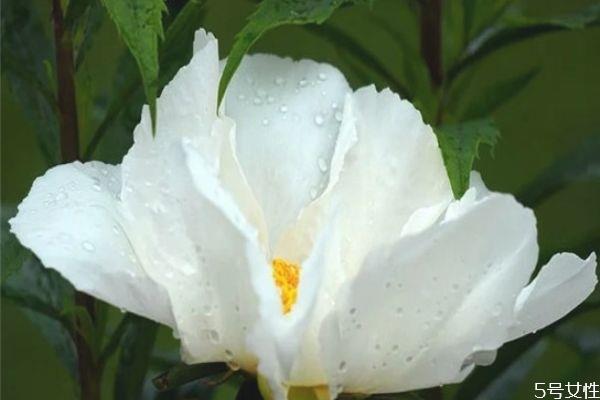 男生喜欢玩暧昧是因为什么 有女朋友还撩妹是渣男 男生喜欢玩暧昧是因为什么 有女朋友还撩妹是渣男