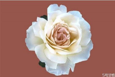 ​男生喜欢玩暧昧是因为什么 有女朋友还撩妹是渣男