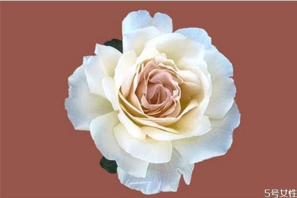 男生喜欢玩暧昧是因为什么 有女朋友还撩妹是渣男 男生喜欢玩暧昧是因为什么 有女朋友还撩妹是渣男