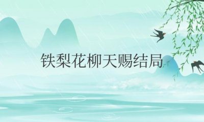 ​电视剧铁梨花柳天赐结局