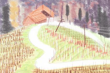 女人对男人失去信任的行为 对感情失去信任的女性表现