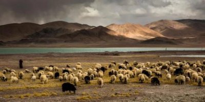 ​我国有哪些著名无人区（中国四大无人区排行榜）