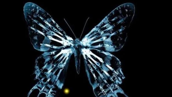 探秘破窗效应是什么意思（它和蝴蝶效应一样吗）  3