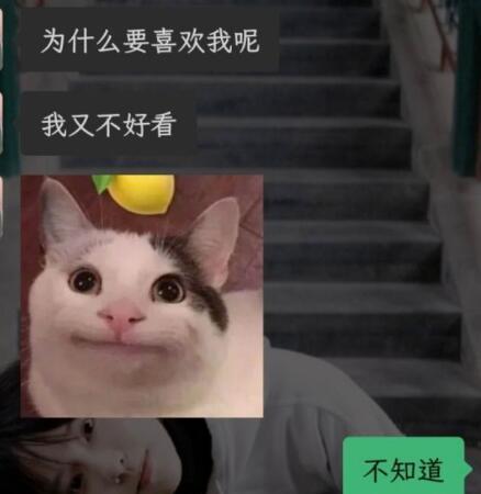 表白没有被接受也没拒绝怎么办