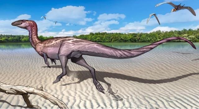 探秘恐龙存在了上亿年为什么都没进化出智慧?  3