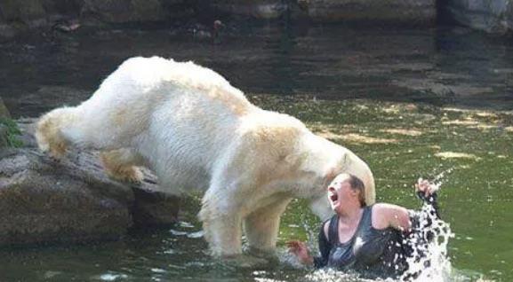 探秘动物伤人事件（动物引发的伤害案例）  4