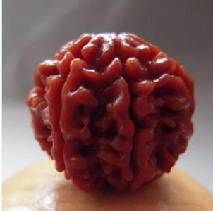 ​金刚菩提子怎么盘红