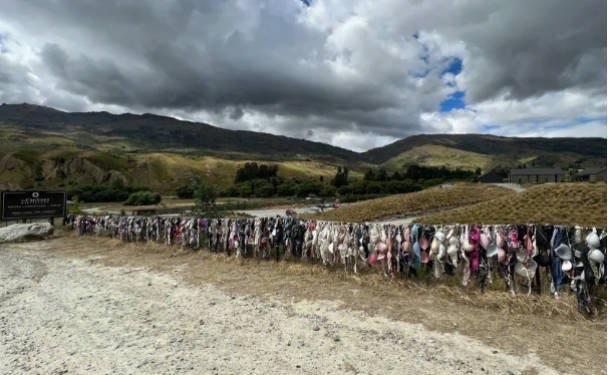 探秘新西兰网红专门设计内衣墙 挂满女士内衣(引男士反感)  3