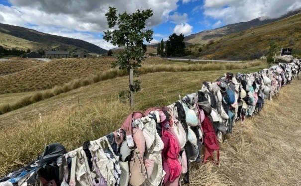 探秘新西兰网红专门设计内衣墙 挂满女士内衣(引男士反感)  2