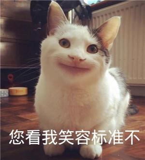 和女生聊天开场表情包9