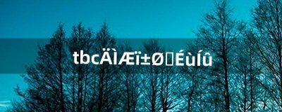 ​tbc奶骑必刷声望（tbc奶骑无脑堆智力)