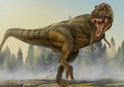 ​霸王龙是什么样的恐龙（霸王龙胸前的小手有什么作用）