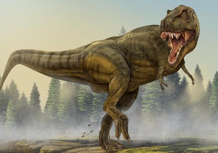 探秘霸王龙是什么样的恐龙（霸王龙胸前的小手有什么作用）  1