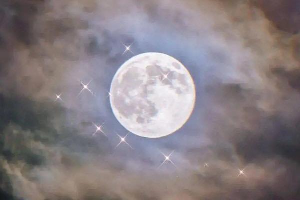 探秘朱砂痣和白月光是什么意思，白月光与朱砂痣怎么理解  4