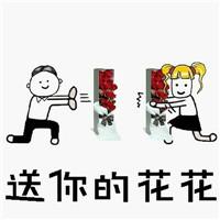 表白套路图片表情包一整套2