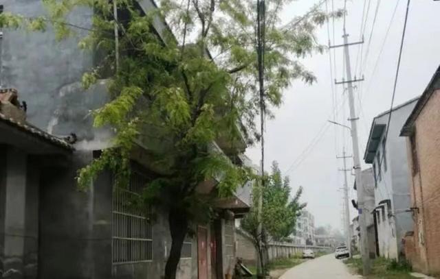 探秘廊坊梨园村事件（女子出轨引发的事件）  1