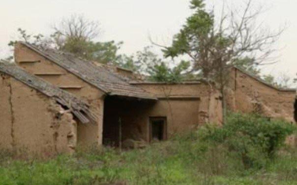 探秘1987年陕西夜狸猫事件真相 至今无人知晓(疑似是谣言)  2