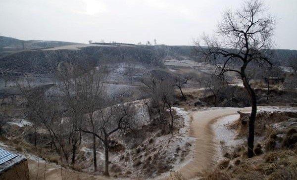 探秘1987年陕西夜狸猫事件真相 至今无人知晓(疑似是谣言)  1