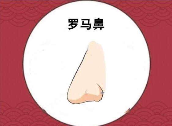 探秘最好看的鼻型排行榜:希腊鼻有什么特征  2