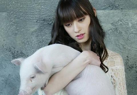 高情商表白套路，5种套路肆意发挥2