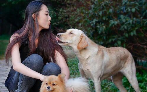 女人养狗的目的有哪些