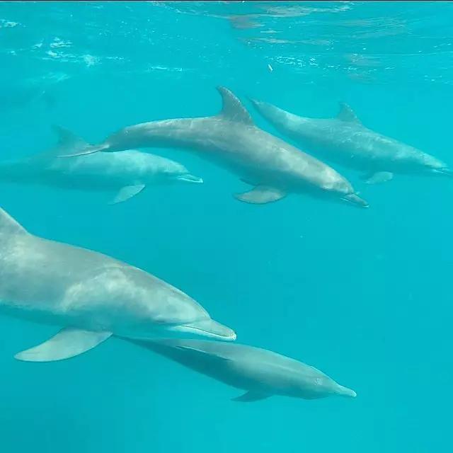 世界上最幸福的100件事情，你做过几件