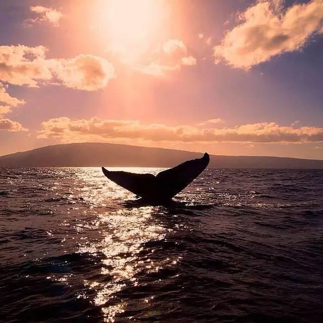 世界上最幸福的100件事情，你做过几件